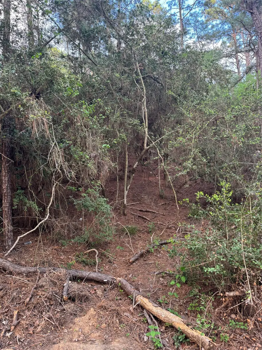 Lots 158 and 159 Hekili Dr, Bastrop, TX 78602 - #3