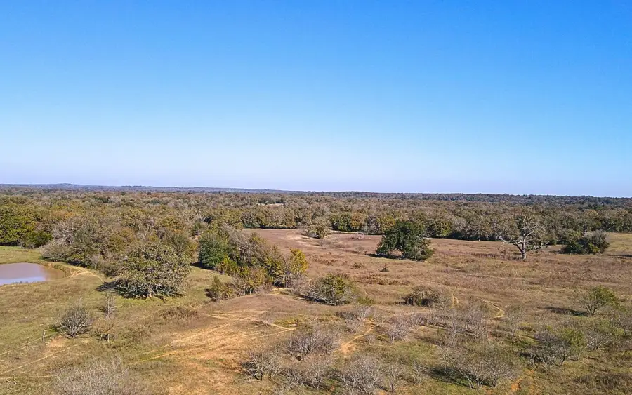 4834 Old Boone Prairie (107.53 Acres) Road, Franklin, TX 77856 - #3