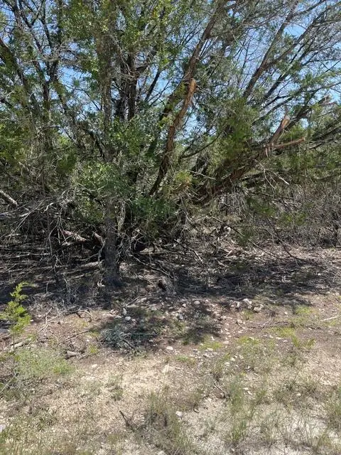 TBD Cr 2644, Lometa, TX 76853 - #1