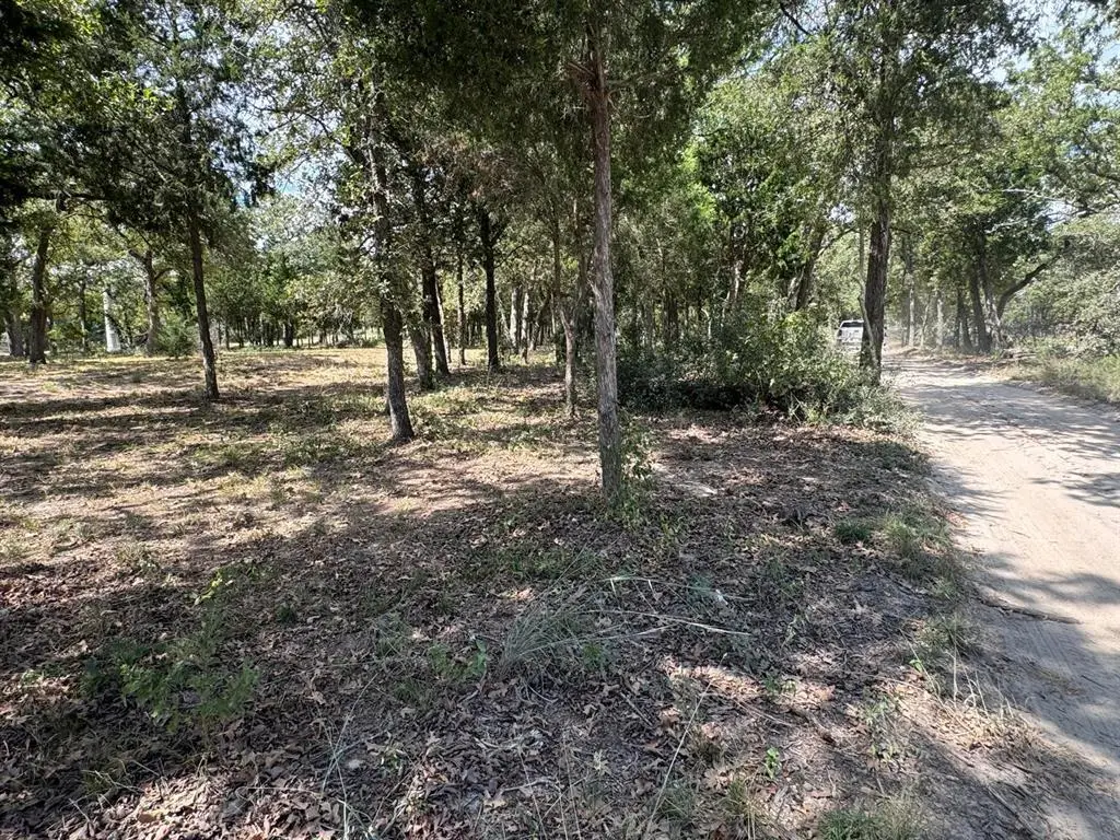 [Lot 2] 000 Jordan Ln, Elgin, TX 78621 - #1