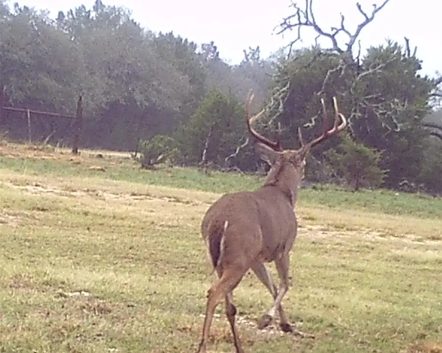 2334 Cr 105, Lampasas, TX 76550 - #2