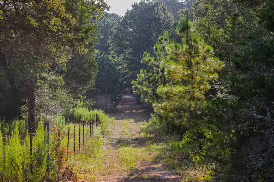 TBD Stiewert Lane, Paige, TX 78659 - #3