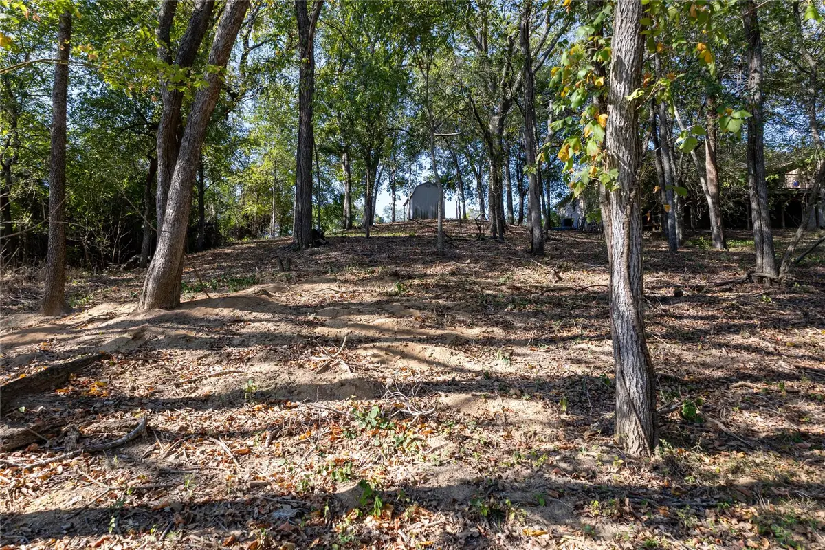 314 Red Bird Ln, Kingsbury, TX 78638 - Image #1