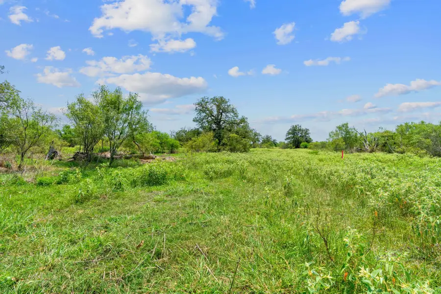 Lot 21 County Road 402, Flatonia, TX 78632 - #3