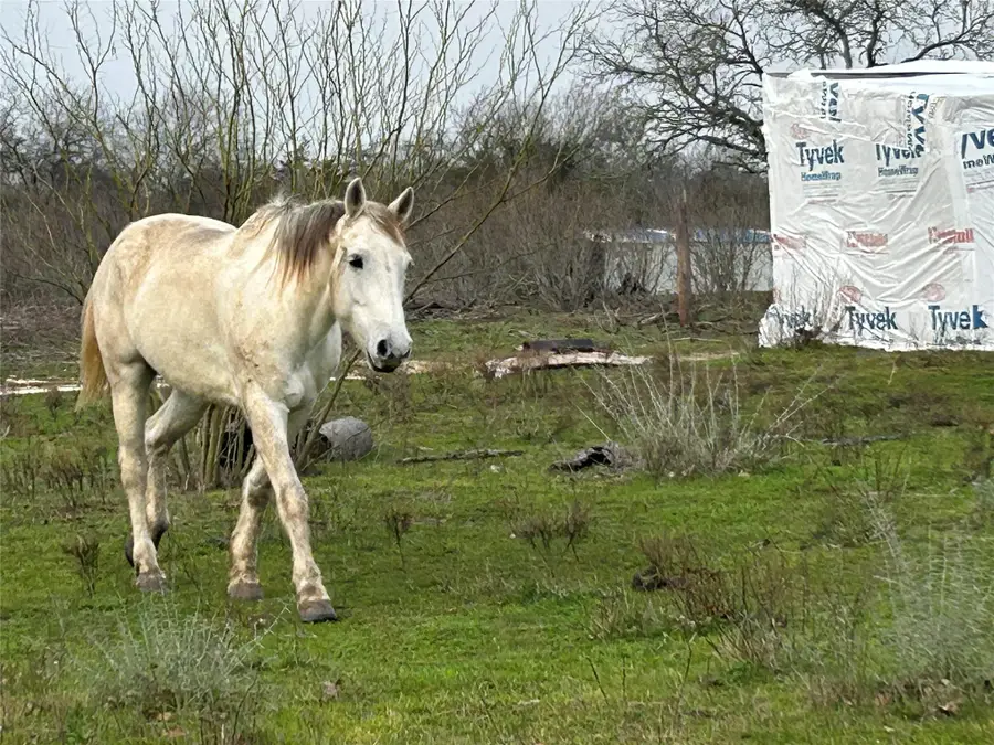 1340 Pettytown Rd, Dale, TX 78616 - Image #2