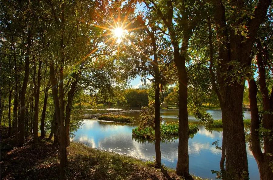 198 Midnight Valley Dr, Cedar Creek, TX 78612 - #3