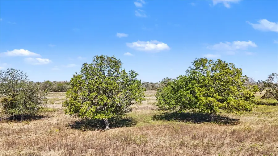 Tract 1 Fm 3158, Dale, TX 78616 - Image #2