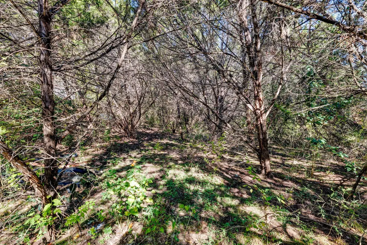 15104 S Flamingo Dr, Austin, TX 78734 - Image #1