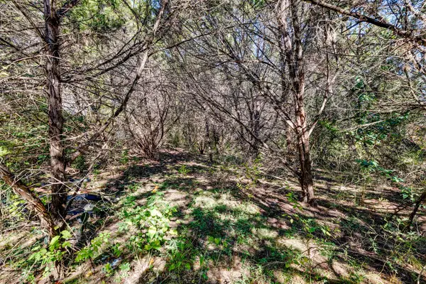 15104 S Flamingo Dr, Austin, TX 78734