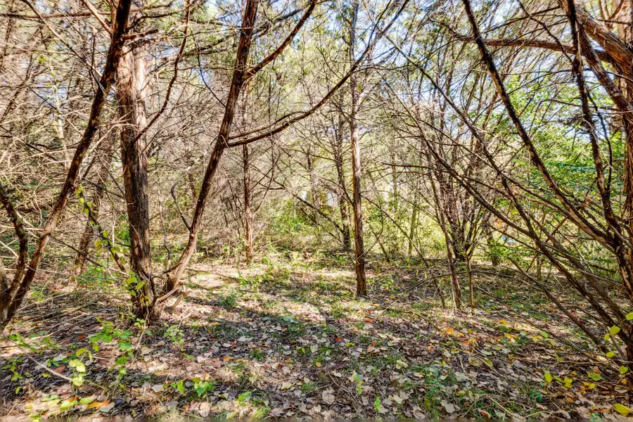 15104 S Flamingo Dr, Austin, TX 78734 - Image #2