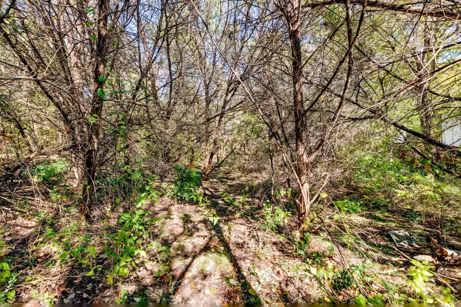 15104 S Flamingo Dr, Austin, TX 78734 - Image #3