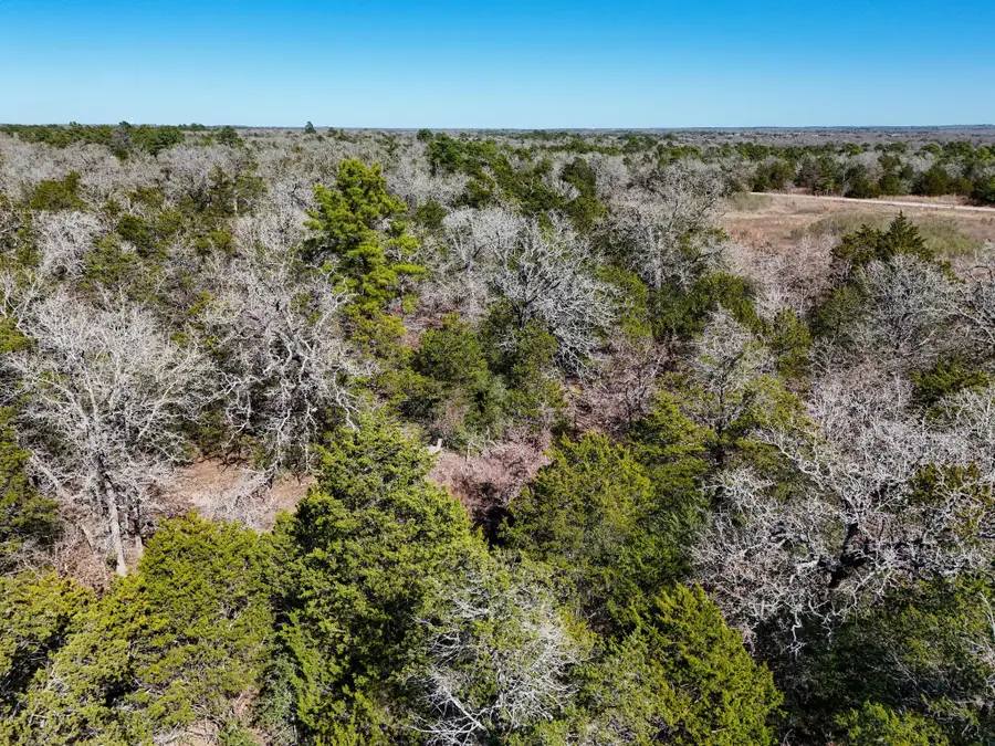 Lot 3 South Old Potato Rd, Paige, TX 78659 - #2