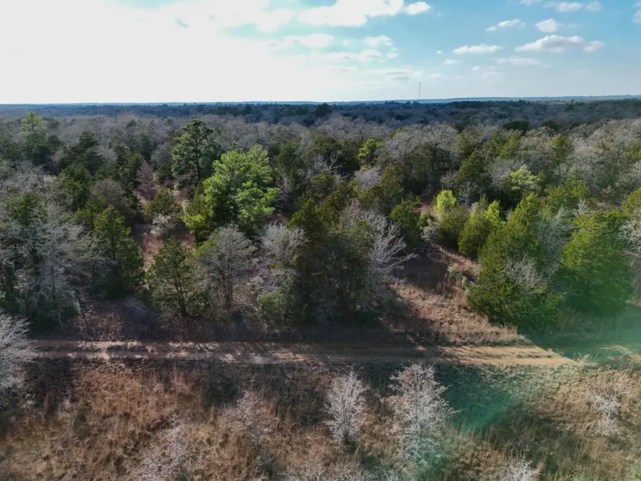 Lot 3 South Old Potato Rd, Paige, TX 78659 - #3