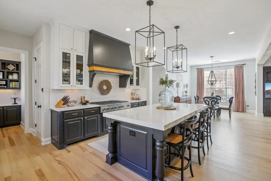 436 Santaluz Path, Austin, TX 78732 - #3