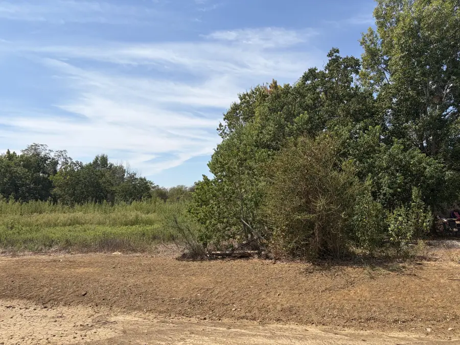 749 Caldwell St, Lexington, TX 78947 - #3