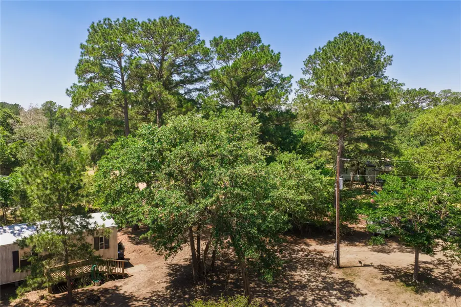 224 Pine Valley Dr, Paige, TX 78659 - #2
