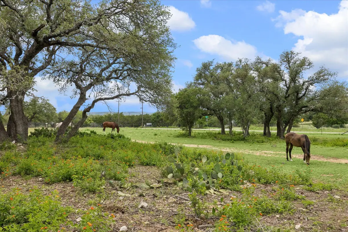 6411 W Fitzhugh Rd, Dripping Springs, TX 78620 - #1