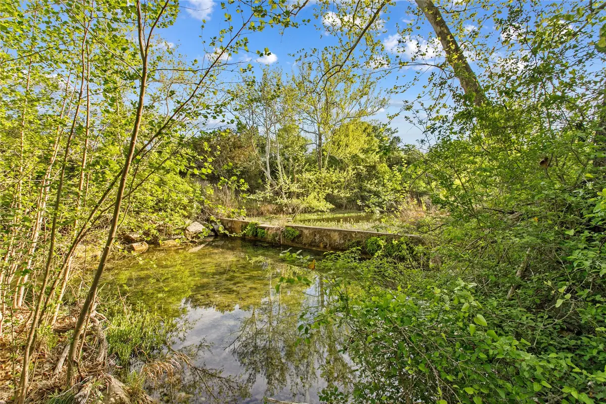 15407 A Fitzhugh Pl, Dripping Springs, TX 78620 - #1