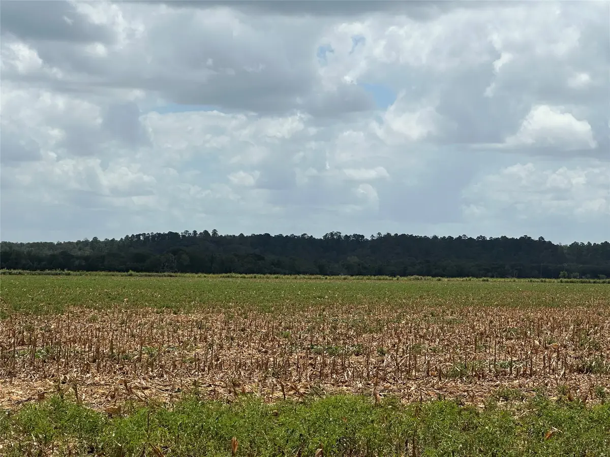 0000 Rabbs Prairie Rd, La Grange, TX 78945 - #1