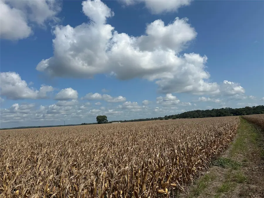 0000 Rabbs Prairie Rd, La Grange, TX 78945 - #2
