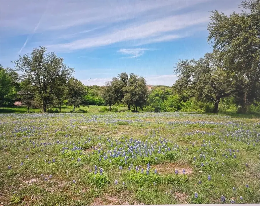 26006 Masters Pkwy, Spicewood, TX 78669 - Image #2