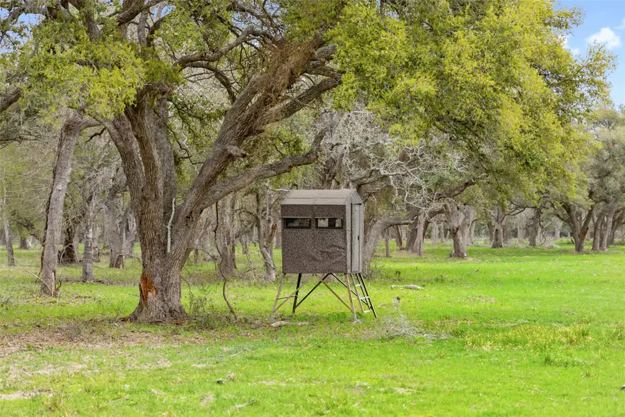 Lot 1 County Road 123, Edna, TX 77957 - #2