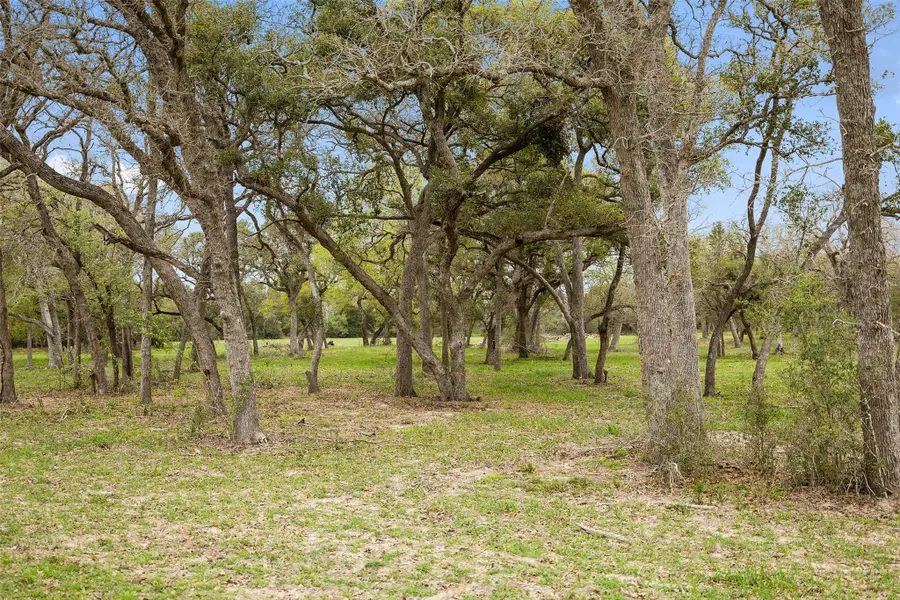 Lot 1 County Road 123, Edna, TX 77957 - #3