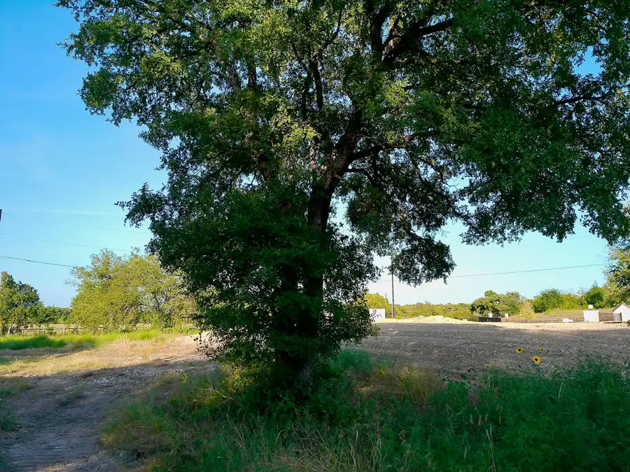 100 Serenity Dr, Liberty Hill, TX 78642 - #3