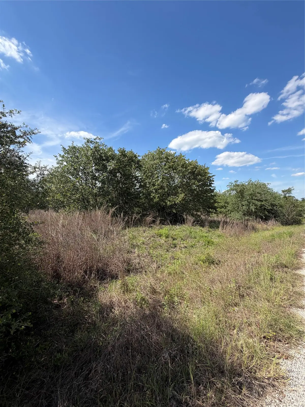TBD Mockingbird Ln, Bastrop, TX 78602 - #1
