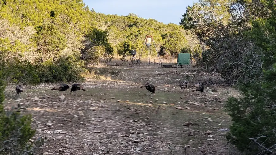 000 Private Road 3150, Brackettville, TX 78832 - #3