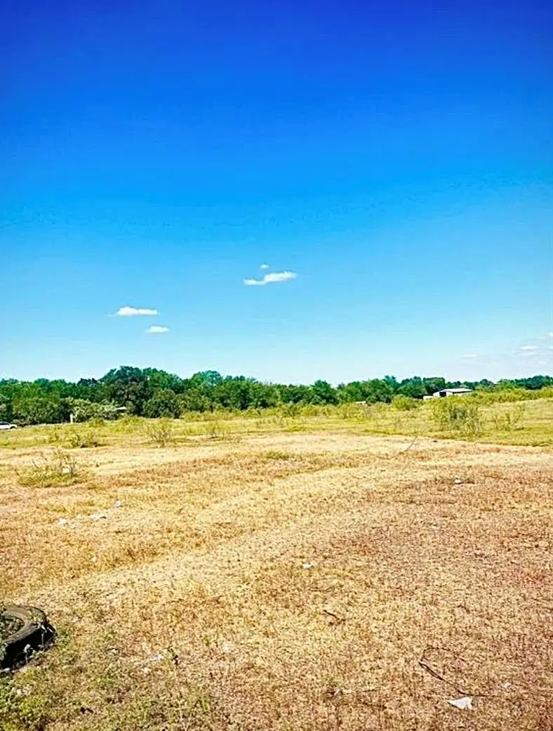 290 Pebblestone Rd, Dale, TX 78616 - #3