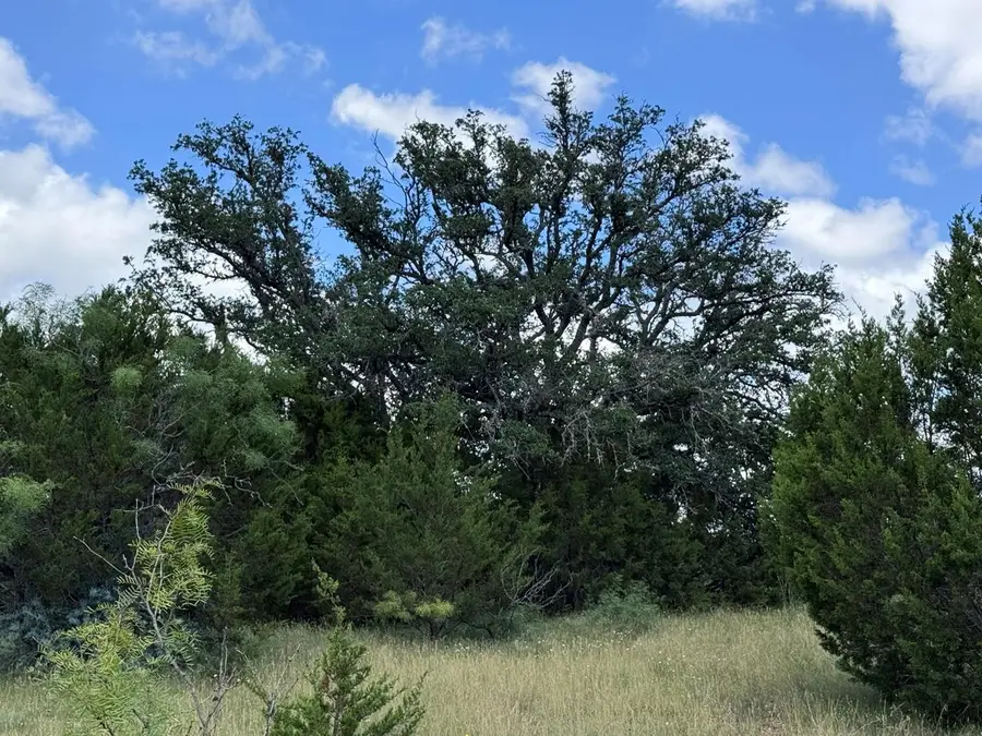 312 Oak Stump Dr, Goldthwaite, TX 76844 - #2