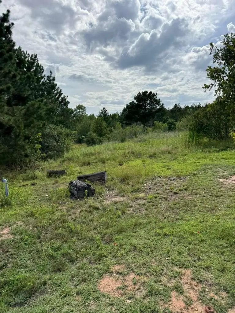 109 Pintail Ln, Paige, TX 78659 - #1