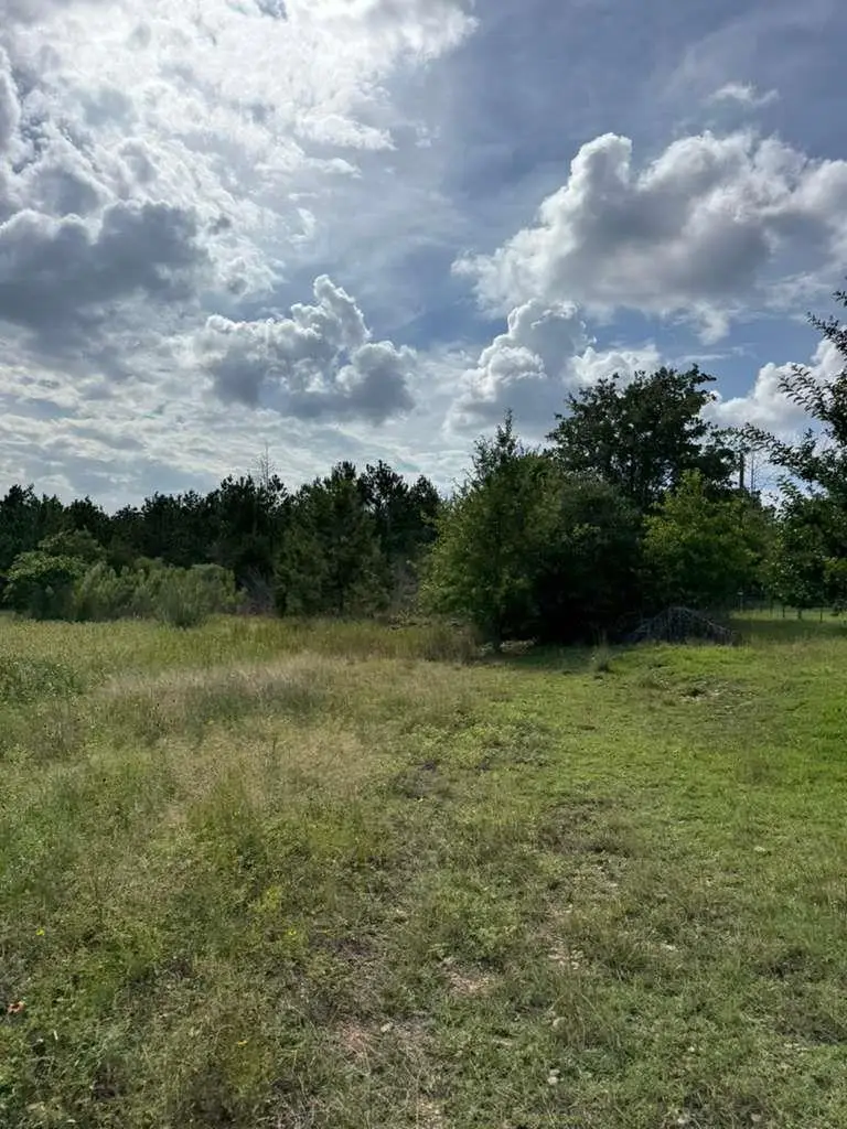 109 Pintail Ln, Paige, TX 78659 - #2