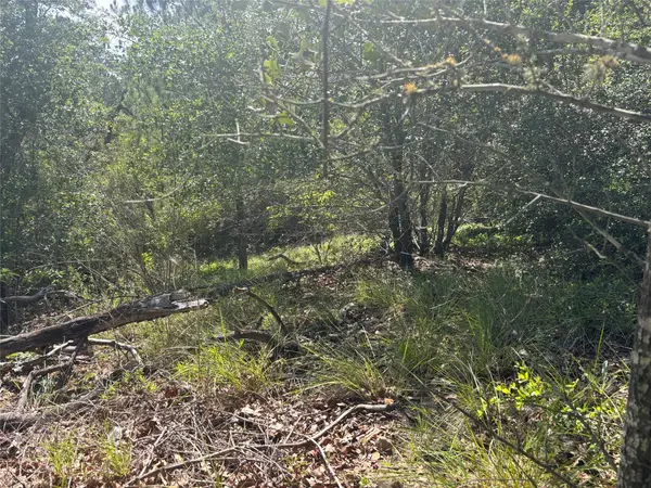 Lot 1541 Pahoiki Ln, Bastrop, TX 78602