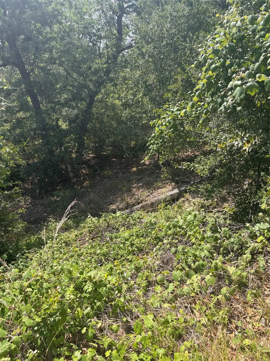 Lot 1541 Pahoiki Ln, Bastrop, TX 78602 - #3