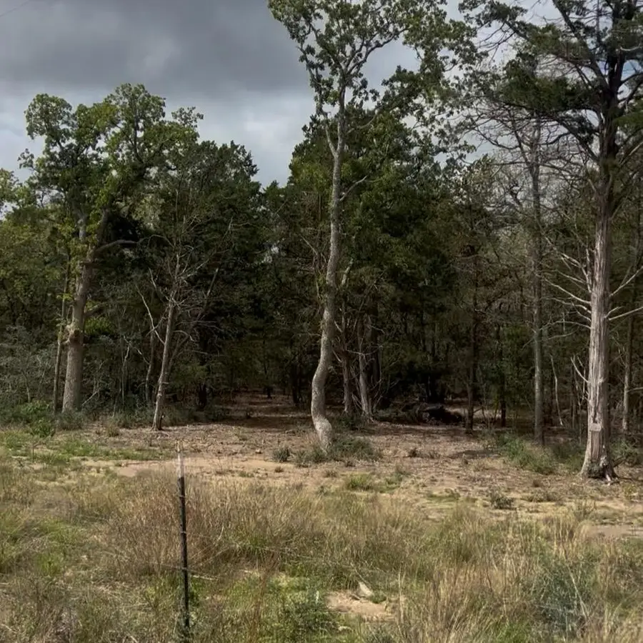 Lot 7 S Old Potato Rd, Paige, TX 78659 - #3