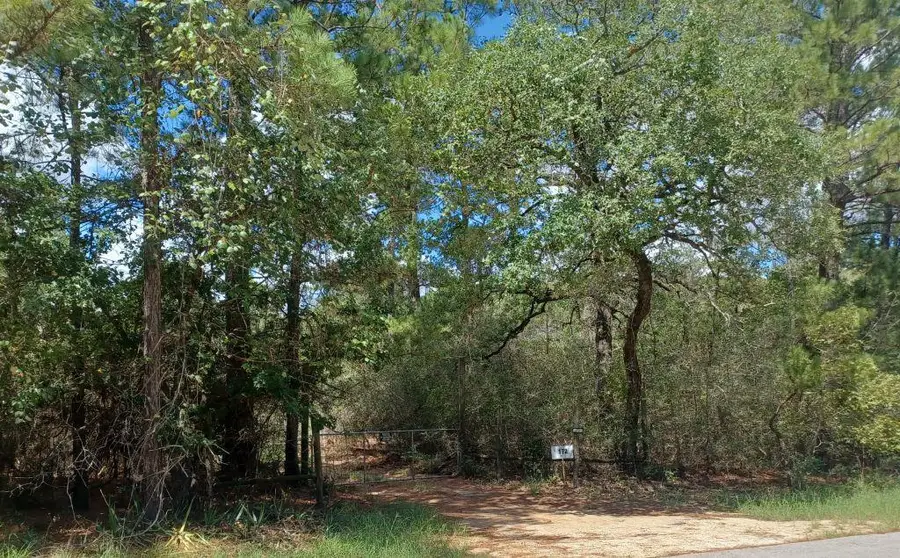 172 Pine Canyon Dr, Smithville, TX 78957 - Image #3