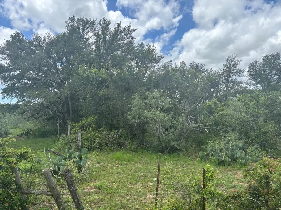 TBD Cr 472, Thrall, TX 76578 - #2