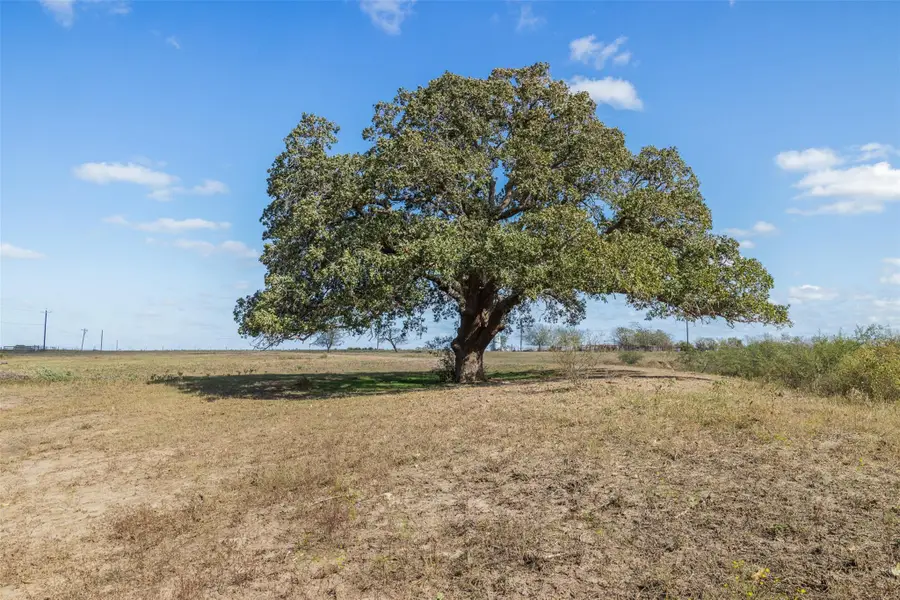 TBD Us Hwy 77, Hallettsville, TX 77964 - Image #2