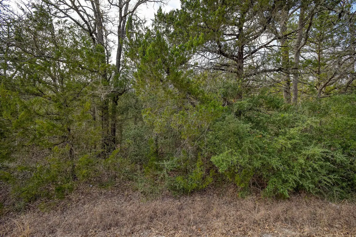 0 Short St, Bastrop, TX 78602 - Image #1