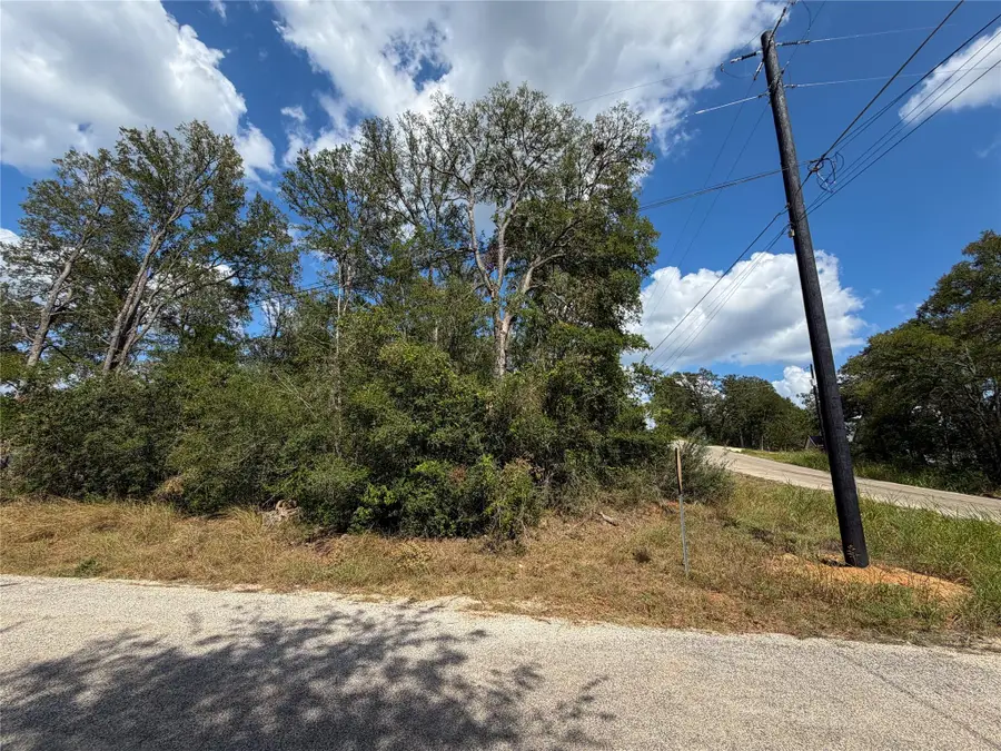 103 Nuupia Ct, Bastrop, TX 78602 - #2