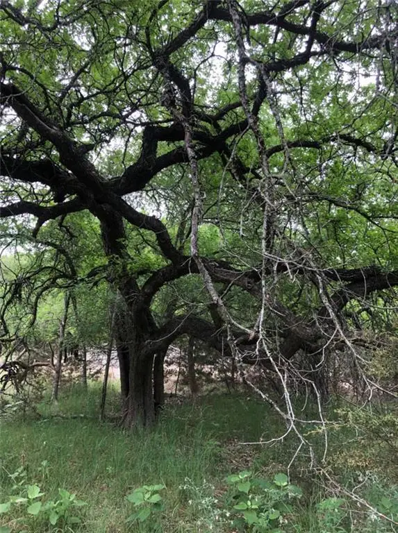 75 E Valley Springs Rd, Wimberley, TX 78676 - #2