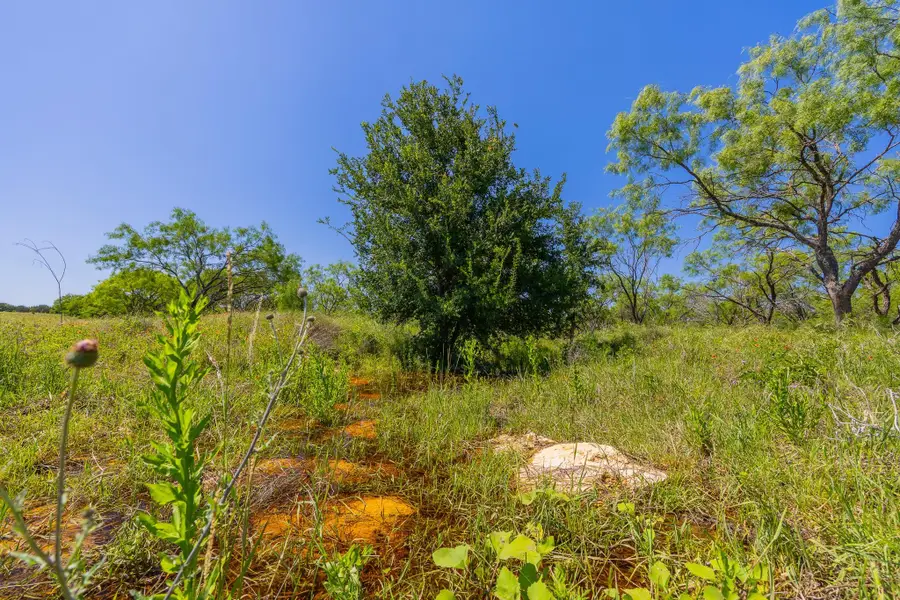 TBD County Road 180 Rolling Pond Ranch Rd, Purmela, TX 76566 - #2