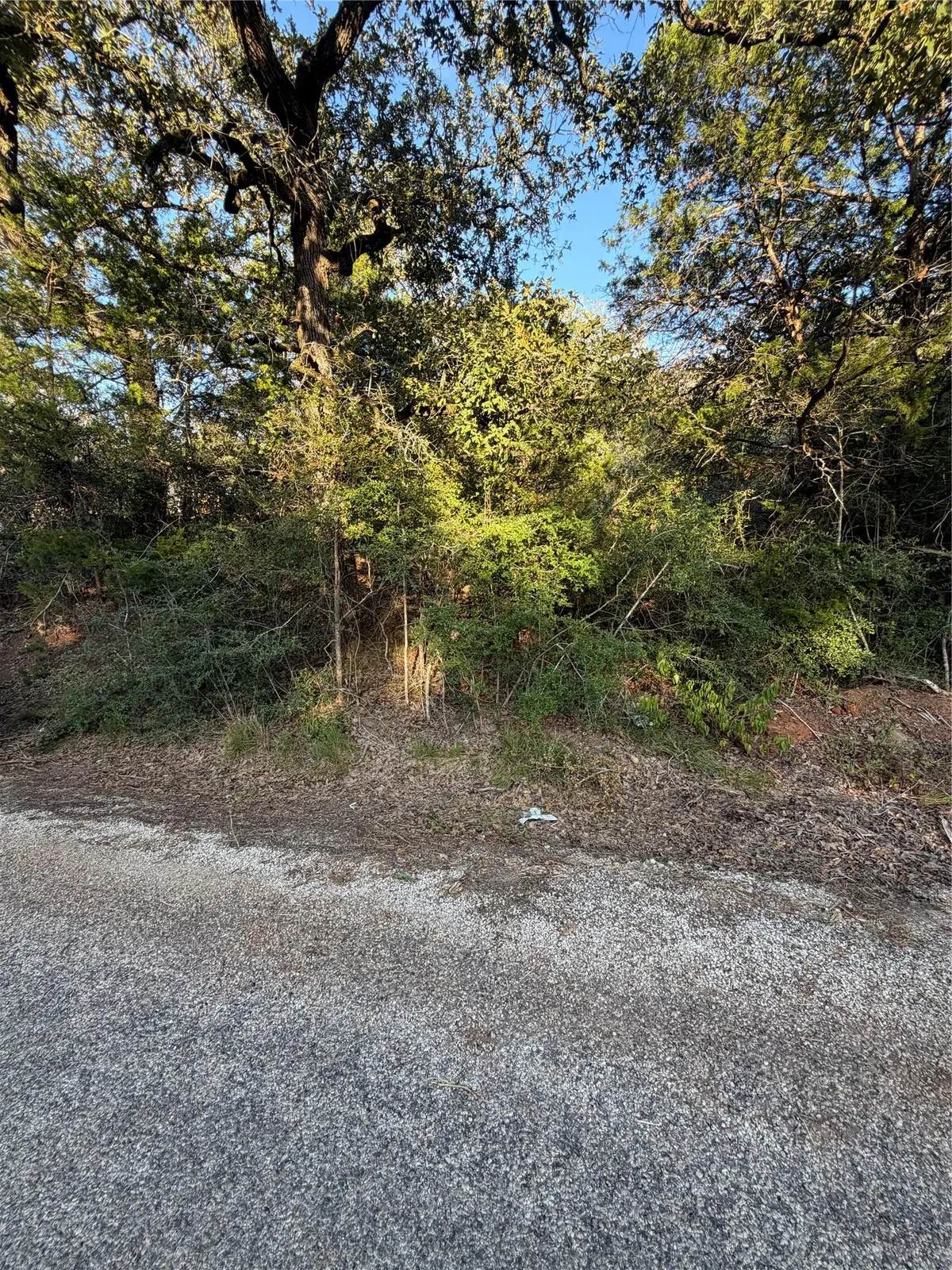 Lot 194 Kaelepulu Dr, Bastrop, TX 78602 - #1