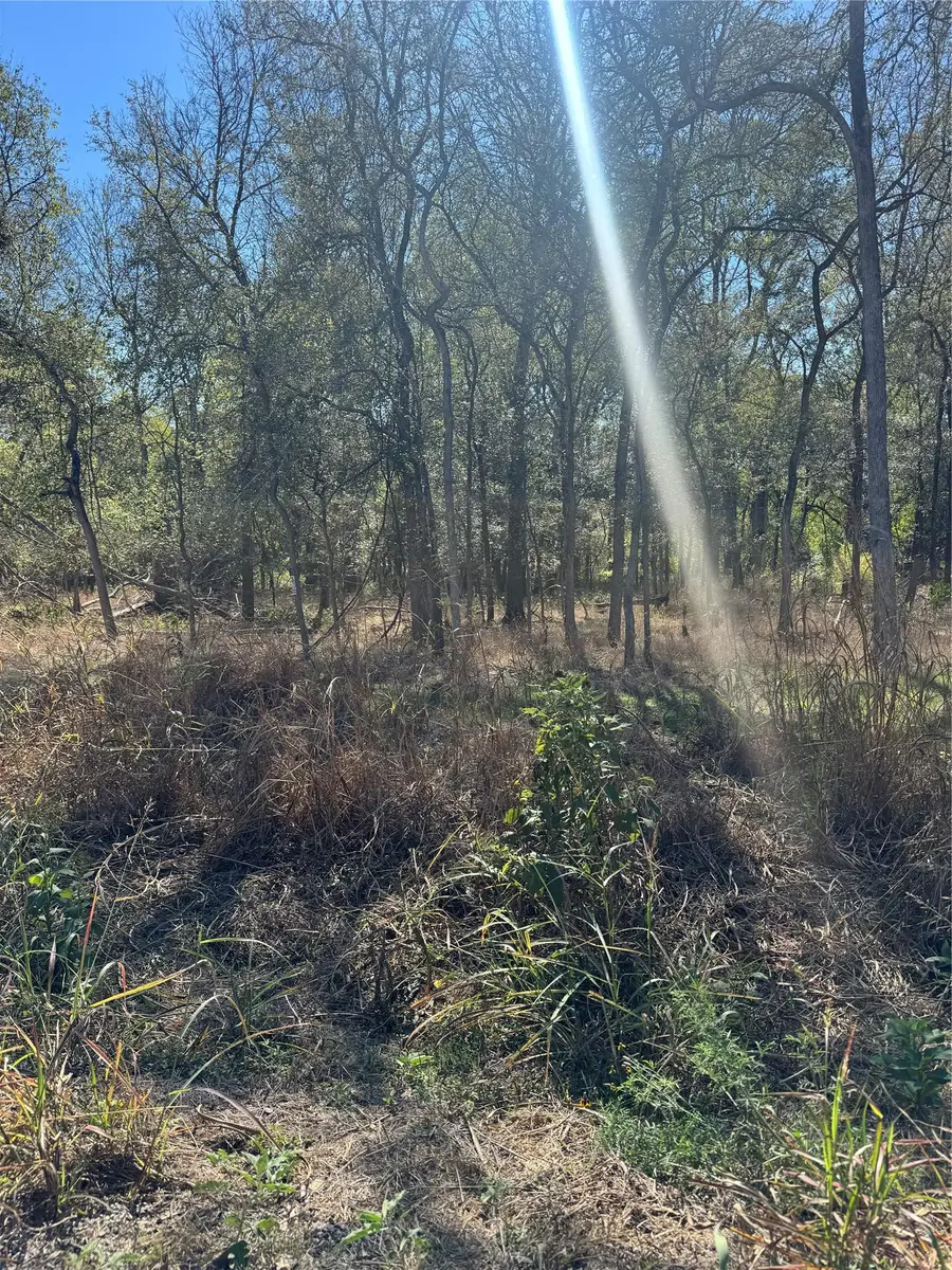 221 Kahana Ln, Bastrop, TX 78602 - Image #3