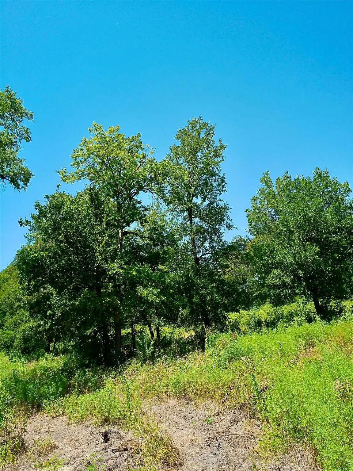 Lot 22 Serenity Dr, Bertram, TX 78605 - #1