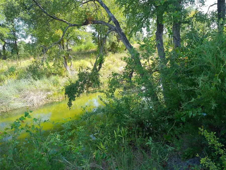 Lot 22 Serenity Dr, Bertram, TX 78605 - #2