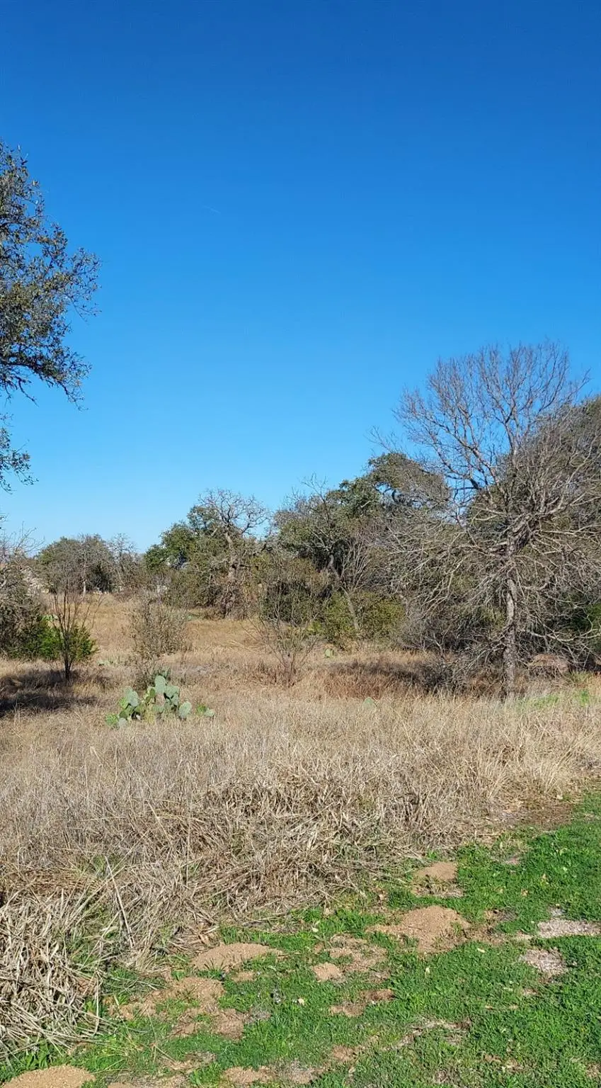 Lot 50 Pristine Pass, Buchanan Dam, TX 78609 - #1