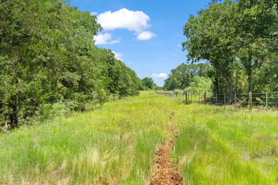 TBD St Delight (tract 1) Rd, Paige, TX 78659 - #2